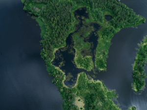 Untitled design (21)